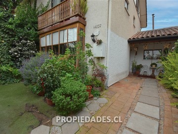 Imagen 14