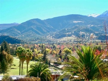 Imagen 7
