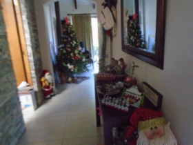 Imagen 15