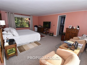 Imagen 21