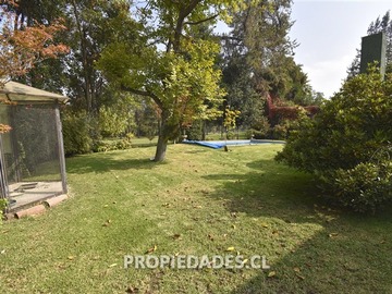 Imagen 20
