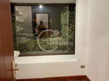 Imagen 19