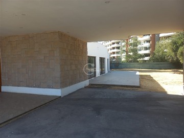 Imagen 11