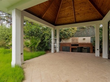 Imagen 25