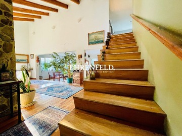 Imagen 11