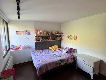 Imagen 6