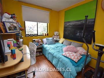 Imagen 9