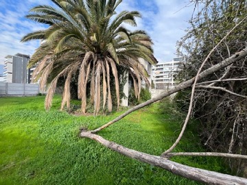 Imagen 6