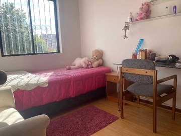 Imagen 12
