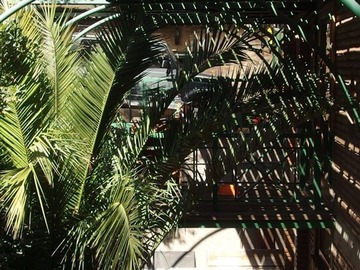 Imagen 9