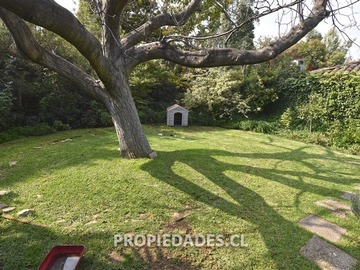 Imagen 26
