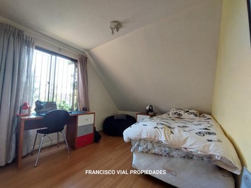 Imagen 20