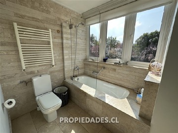 Imagen 23