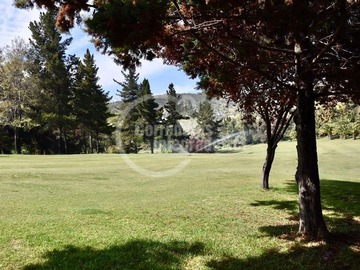 Imagen 6