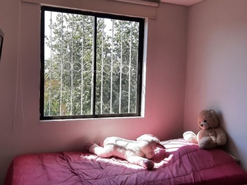 Imagen 20