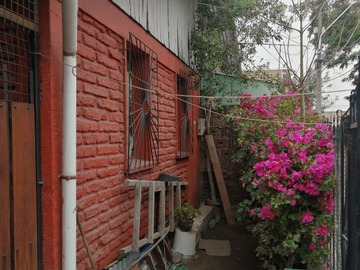 Imagen 7