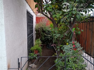 Imagen 21