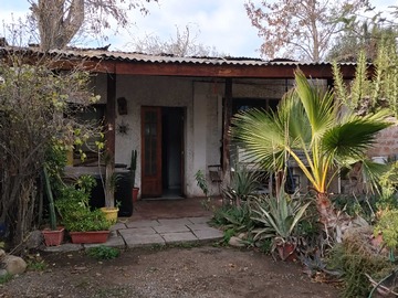 Imagen 12