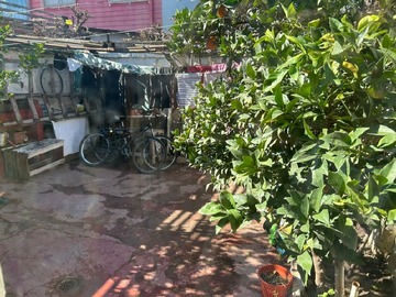 Imagen 6