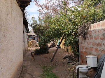 Imagen 11
