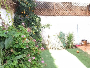 Imagen 14
