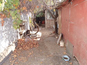 Imagen 5