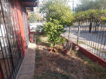 Imagen 15