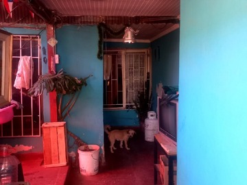 Imagen 7