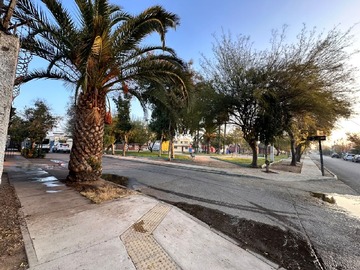 Imagen 25