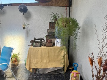 Imagen 15