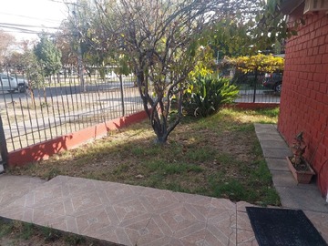 Imagen 7