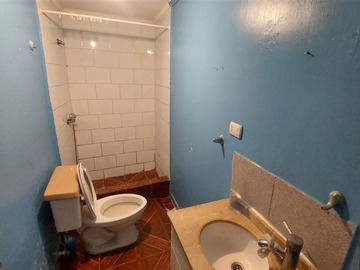 Imagen 5