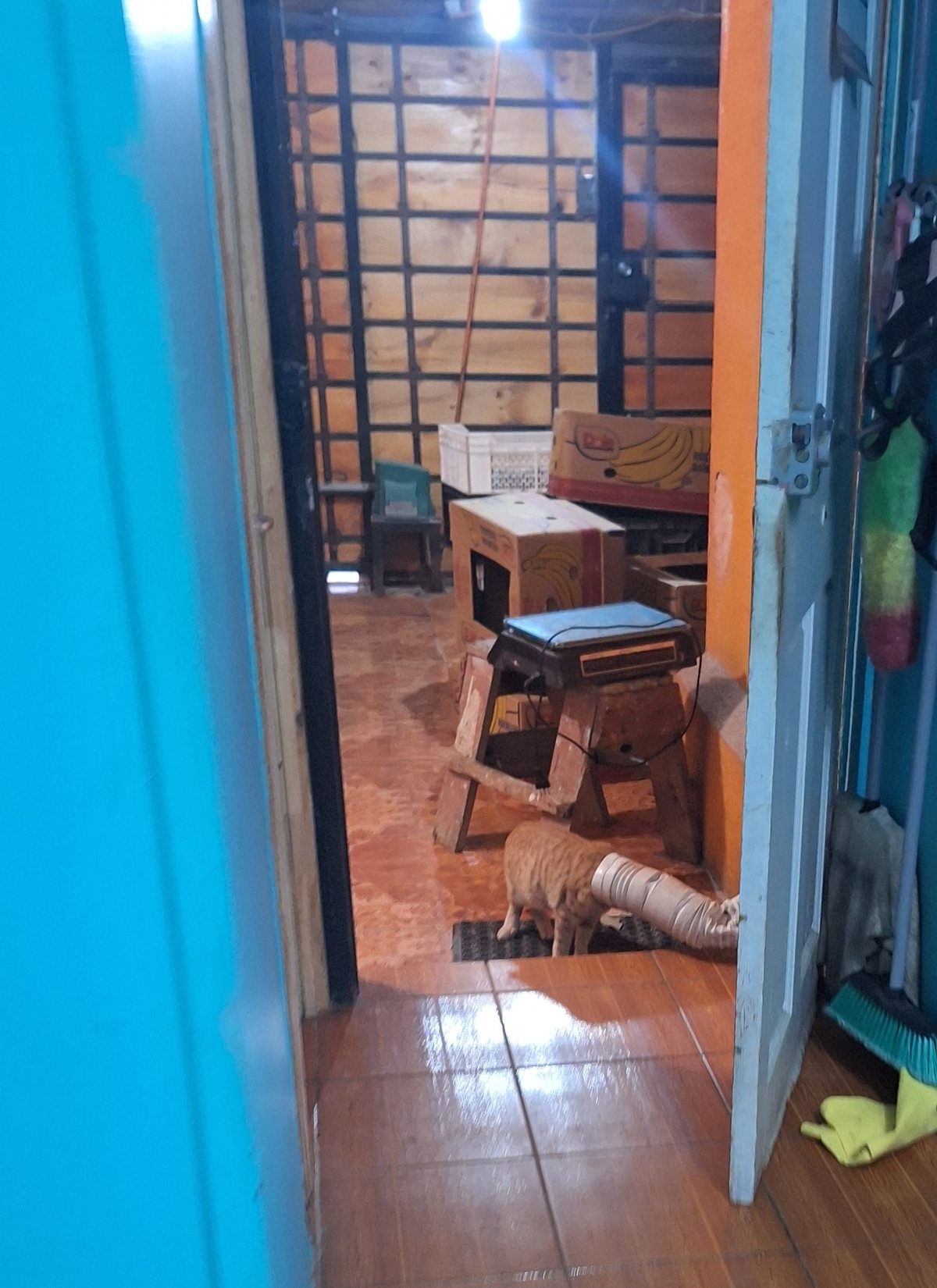 Patio con estacionamiento y espacio de almacenaje