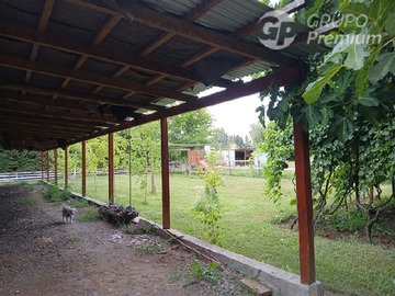 Imagen 25