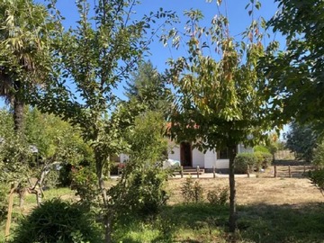 Imagen 11