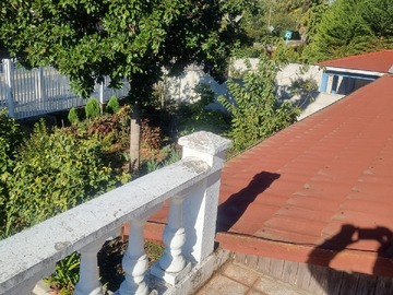 Imagen 25