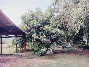 Imagen 28
