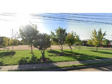 Imagen 9