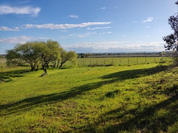 Venta / Casa / Los Ángeles