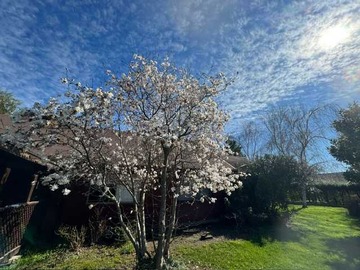 Venta / Casa / Los Ángeles