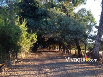 Imagen 7