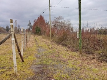 Venta / Casa / Los Ángeles