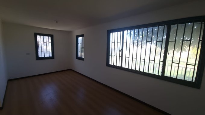 Living- Comedor