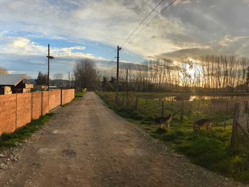 Venta / Casa / Los Lagos