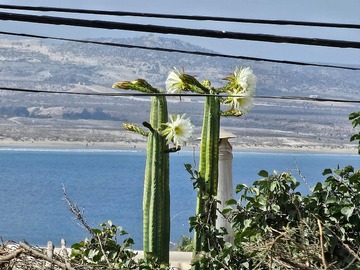 Imagen 6