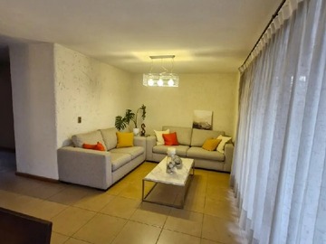 Imagen 19