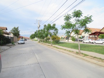 Imagen 19