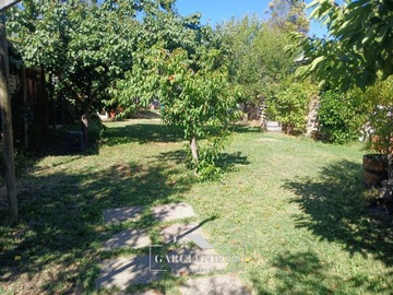 Imagen 11