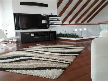 Imagen 15