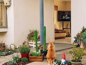 Venta / Casa / Machalí